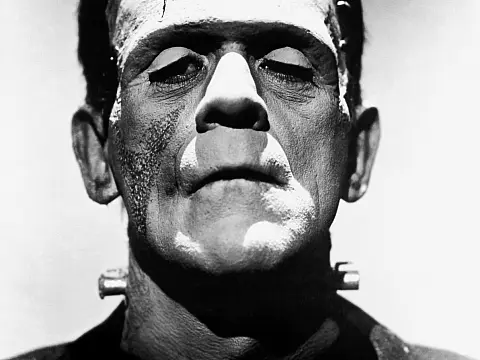Frankenstein's Monster (Boris Karloff)