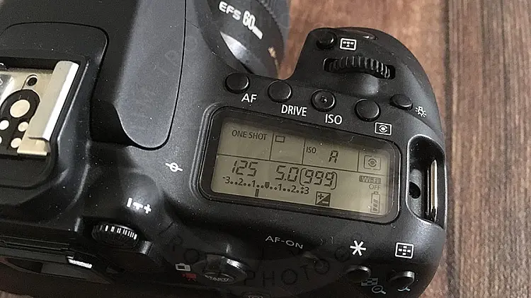Here the camera setting LCD displays the shutter speed of 1/125 second.