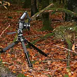 When and How To Use A Camera Tripod In Photography