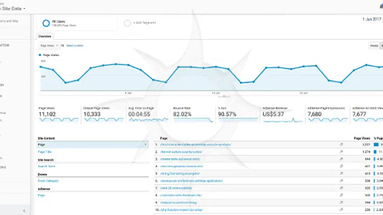 Google Analytics Behaviour Overview