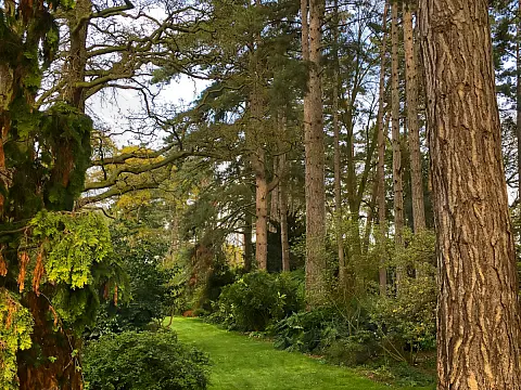 Spetchley Park Garden