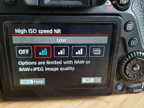 What is Digital Photography ISO and Grain?