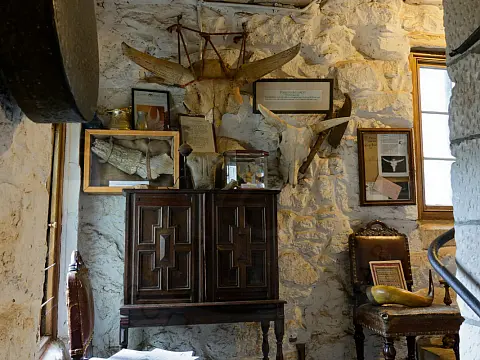Antique chairs, cabinets and fossils adorn the tower staircase