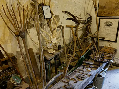 Garden tools and equipment in the mud room