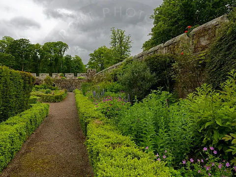 Flowers in Chillingham Castle Gardens